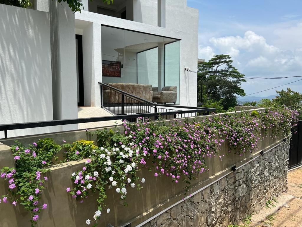 Hotel Kandyan View "Free Pickup From Kandy City" Eksteriør bilde